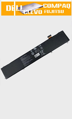 RC30-0248 battery
