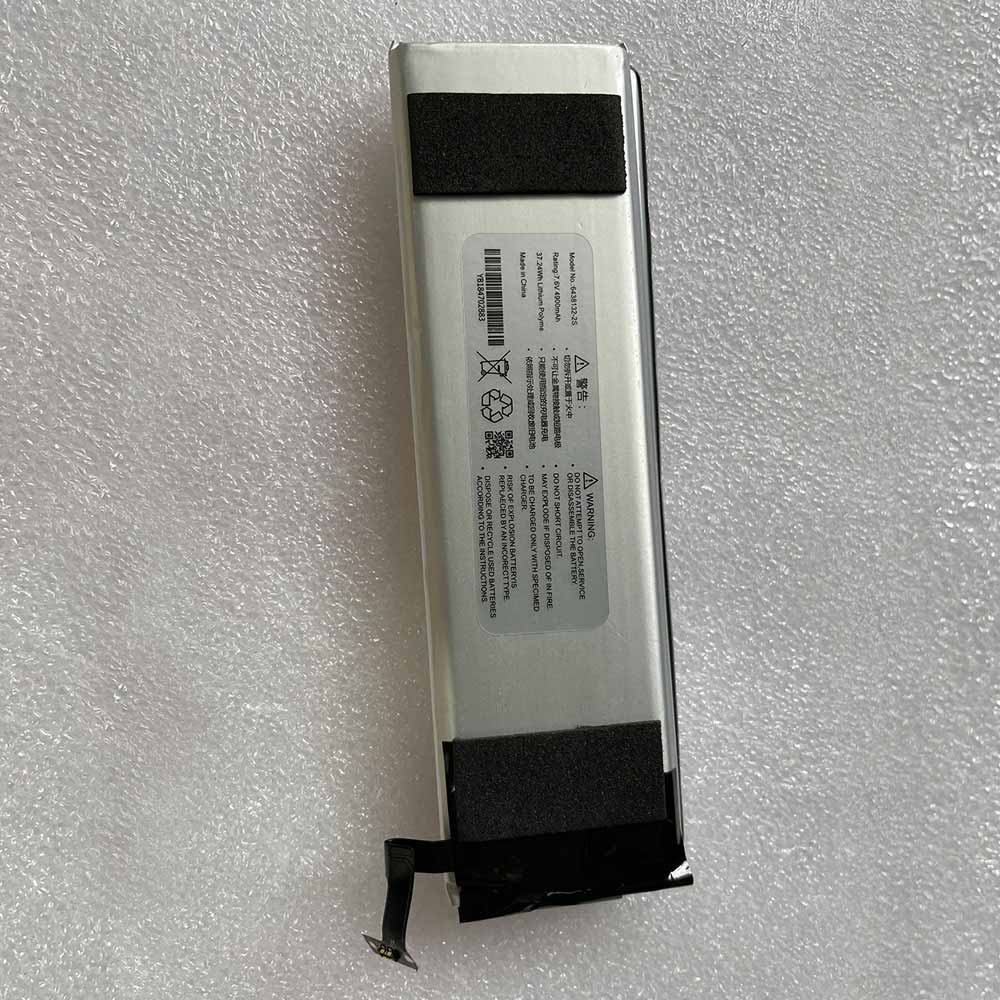 replace 6438132-2S battery