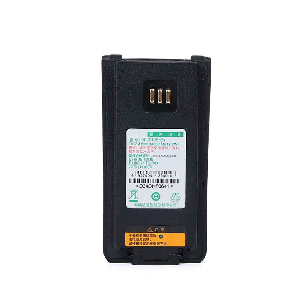 different BL2409EX battery