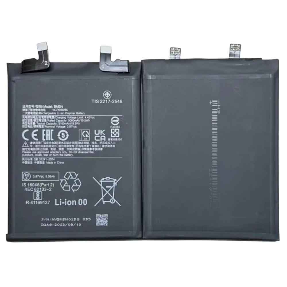 replace BM5N battery