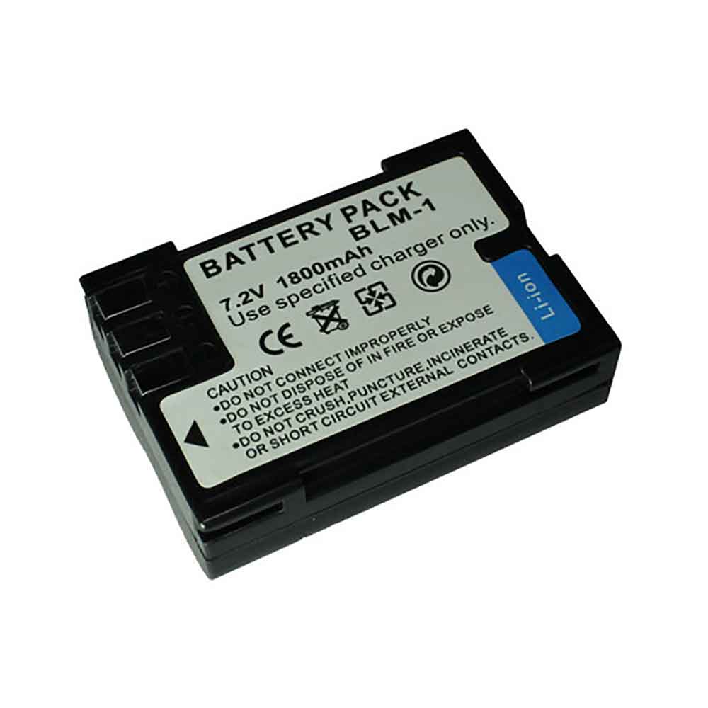 different BLM-1 battery