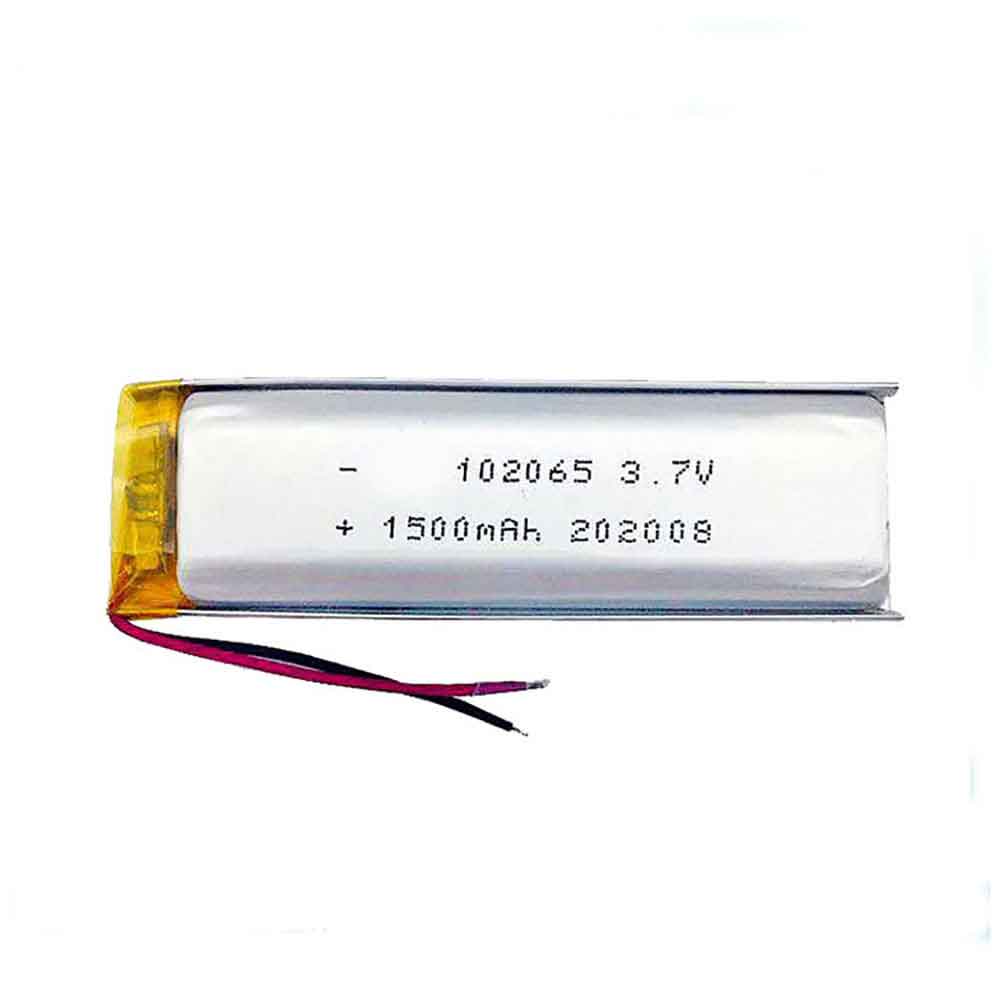 replace 102065 battery