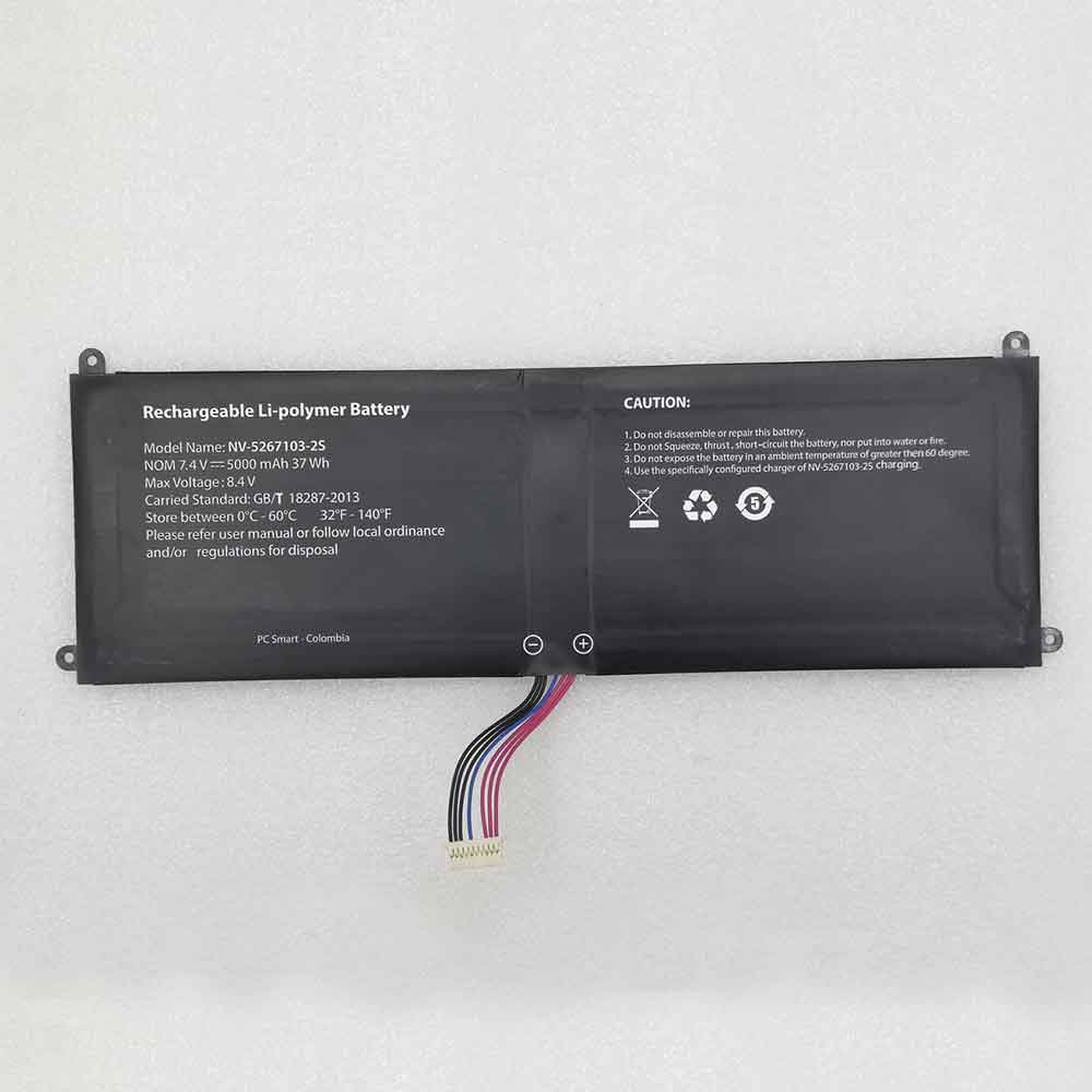 replace NV-5267103-2S battery