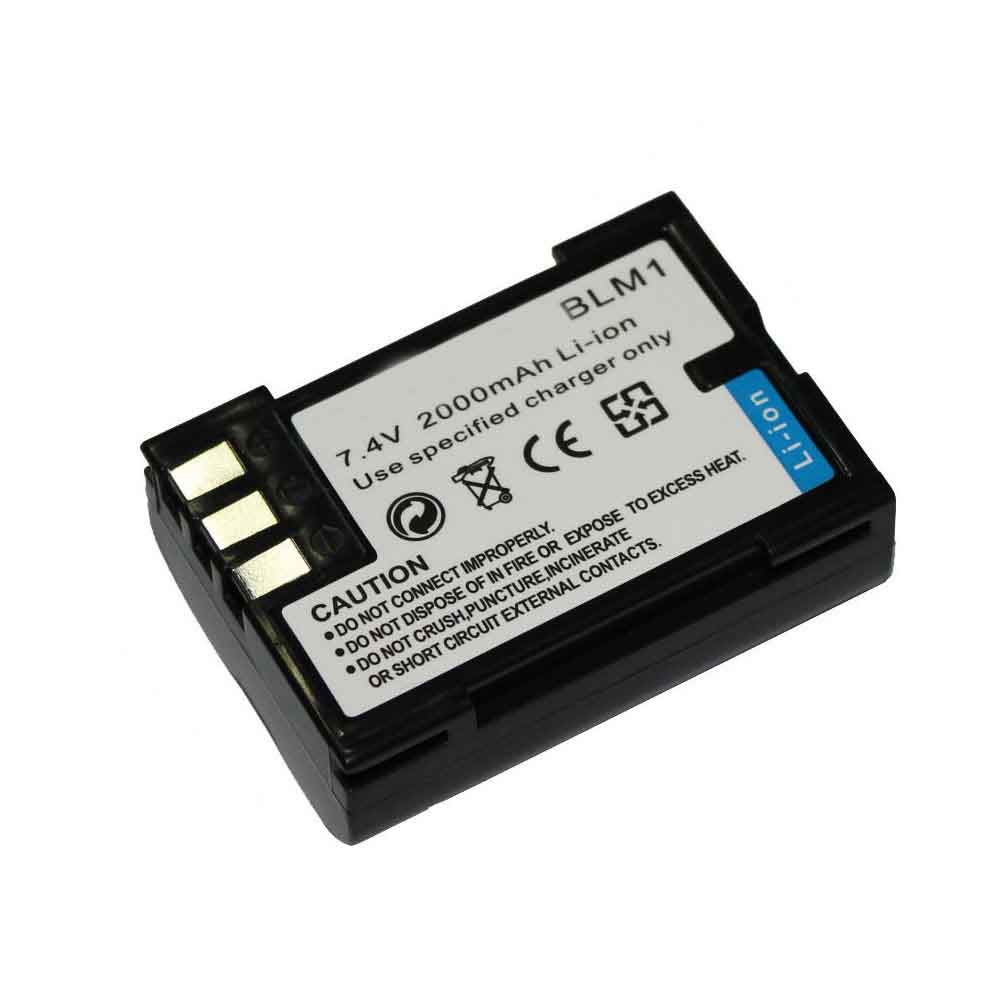 replace BLM1 battery