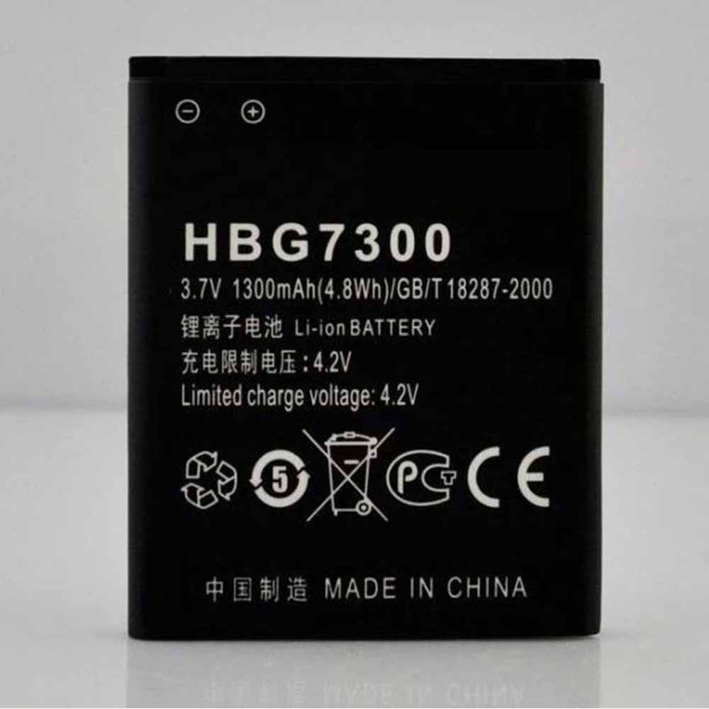 replace HBG7300 battery
